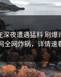 神秘人在深夜遭遇猛料 刷爆评论，91网全网炸锅，详情速看