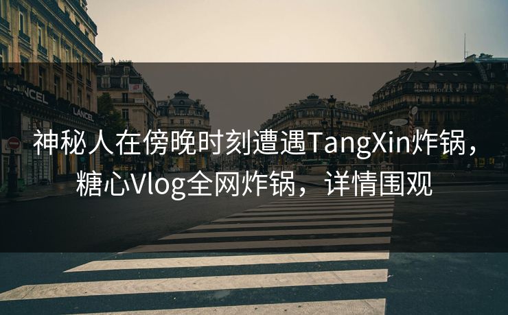神秘人在傍晚时刻遭遇TangXin炸锅，糖心Vlog全网炸锅，详情围观