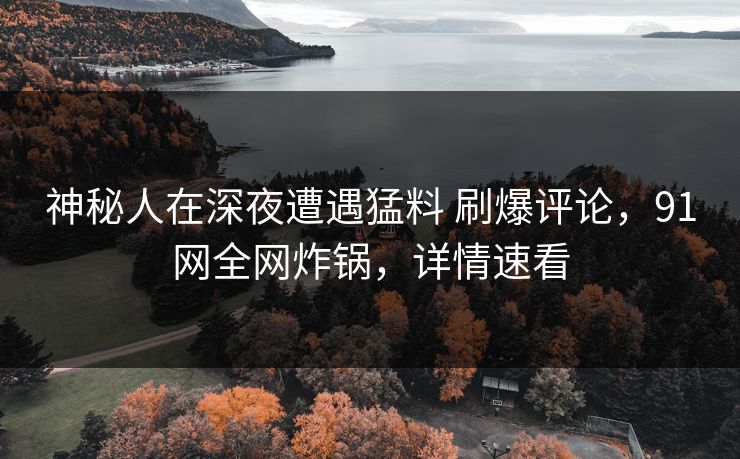 神秘人在深夜遭遇猛料 刷爆评论，91网全网炸锅，详情速看