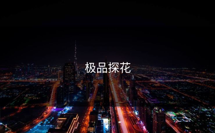 极品探花