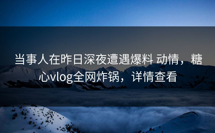 当事人在昨日深夜遭遇爆料 动情，糖心vlog全网炸锅，详情查看