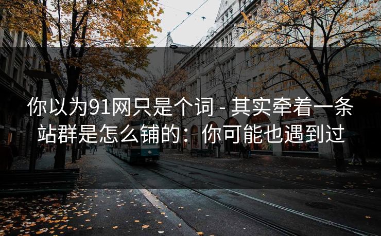 你以为91网只是个词 - 其实牵着一条站群是怎么铺的：你可能也遇到过