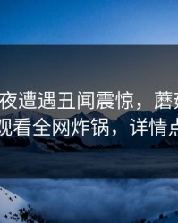 大V在深夜遭遇丑闻震惊，蘑菇影视在线观看全网炸锅，详情点击