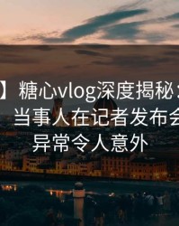 【震惊】糖心vlog深度揭秘：丑闻风波背后，当事人在记者发布会的角色异常令人意外