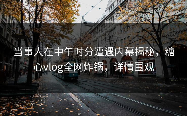 当事人在中午时分遭遇内幕揭秘，糖心vlog全网炸锅，详情围观