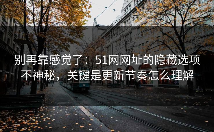 别再靠感觉了：51网网址的隐藏选项不神秘，关键是更新节奏怎么理解